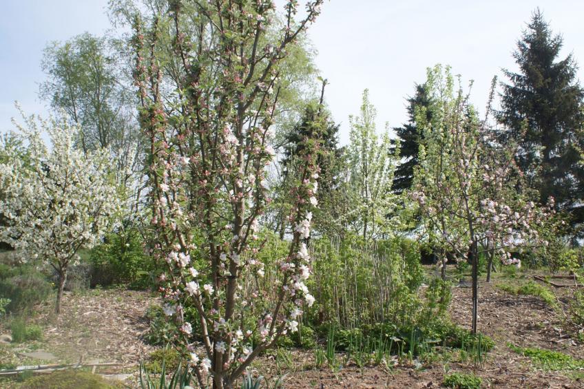 Meer, Landschaft, Stille - Ferienhäuser in den Gärten von Magra - foto 32