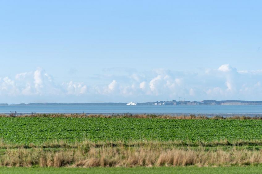 "Ajla" in Western Jutland - foto 15