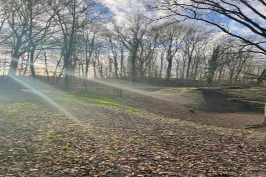 Hommelhove - foto 27