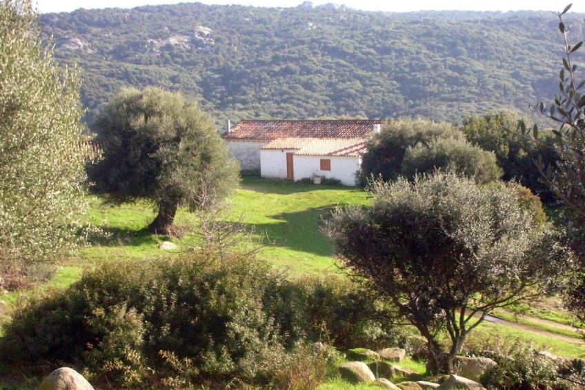 Stazzo mit Garten in Luogosanto - foto 3