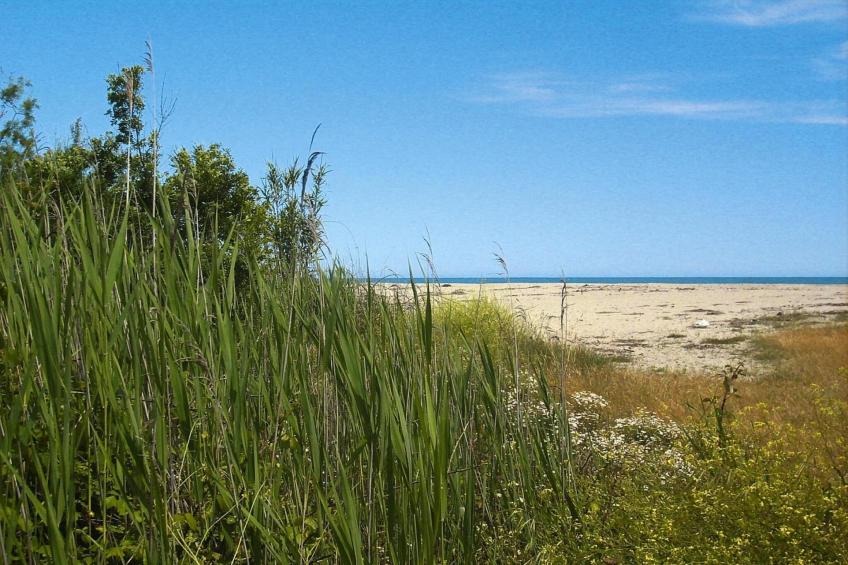 Résidence Marina Corsa in Ghisonaccia - Type B - foto 32