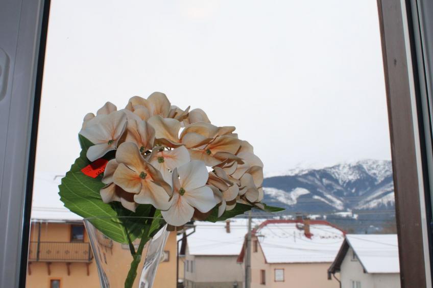 Appartment Zuberec 4 - foto 9