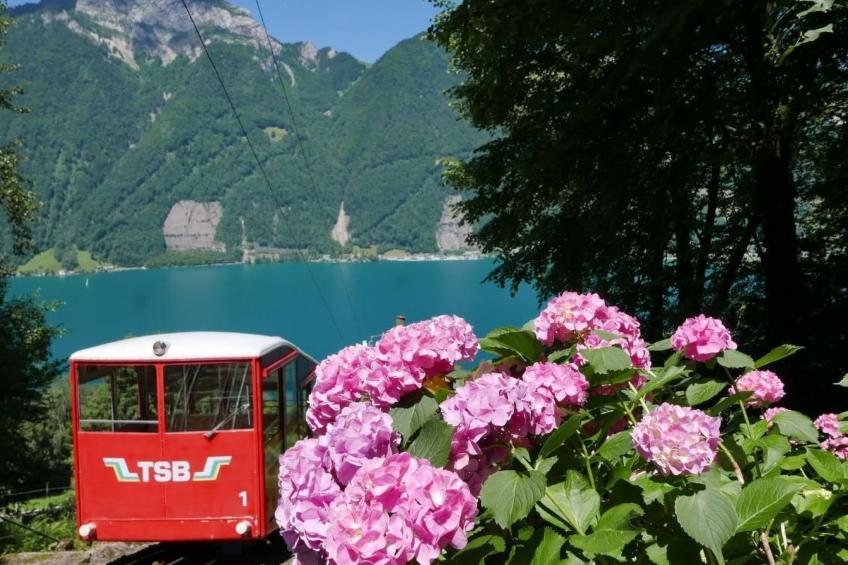 Villa Seelisberg mit Jacuzzi und Panoramablick - foto 45