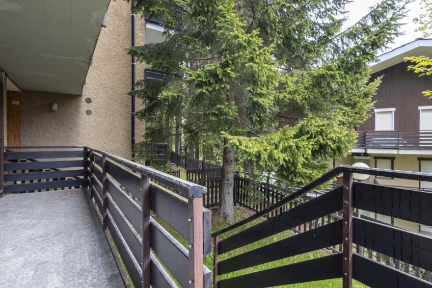 Pino Bianco - foto 24