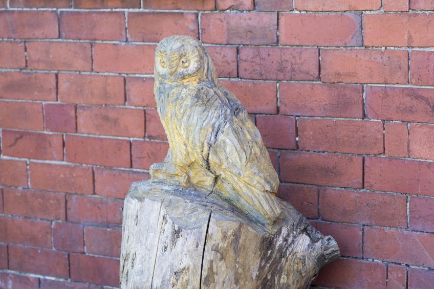 Owl Cottage - foto 6