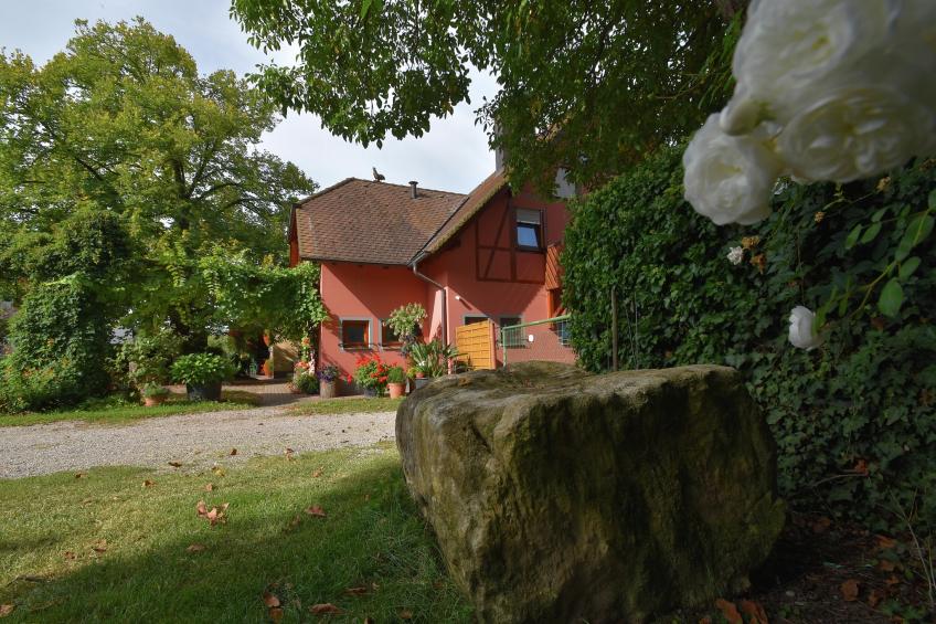 Im Rheintal - foto 14