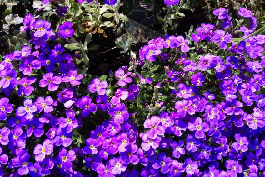 Finca "Motje" mit Aussicht - foto 5