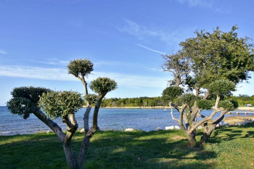 SILVA 2+1 2. KAT - foto 32