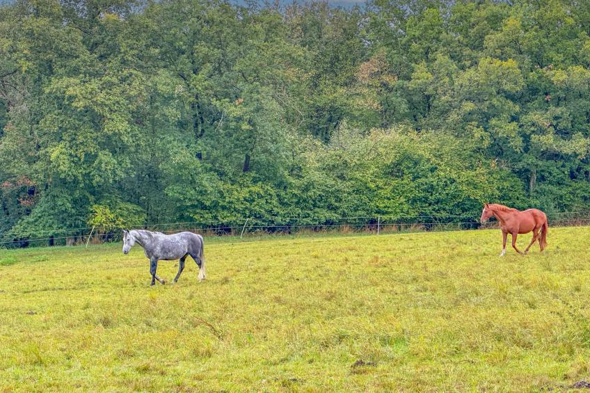 Panoramablick - foto 16