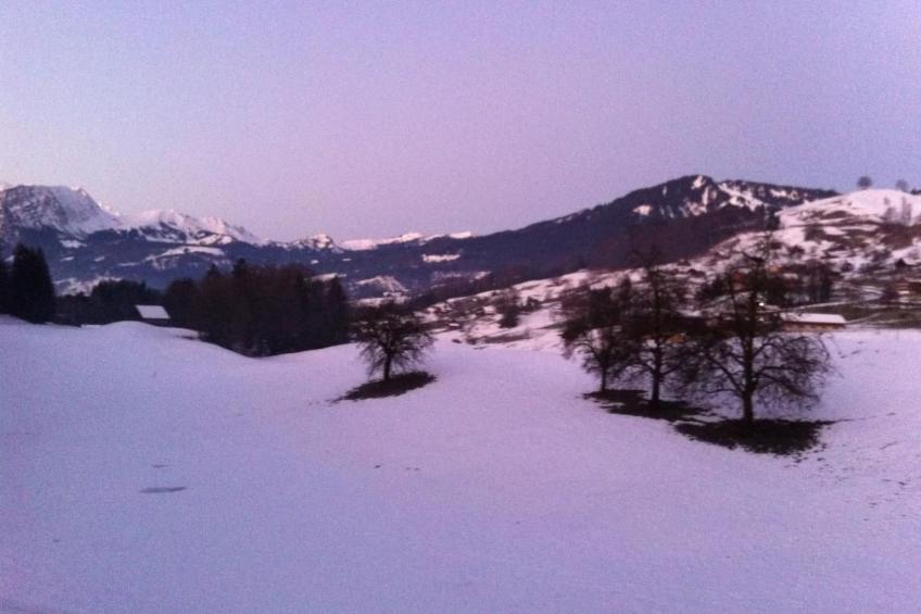 Gina's Apartment - Nähe zu See und Berge - foto 6