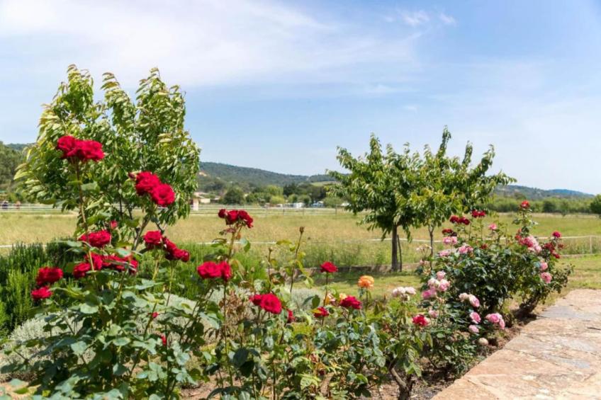 La Palmeraie - foto 20