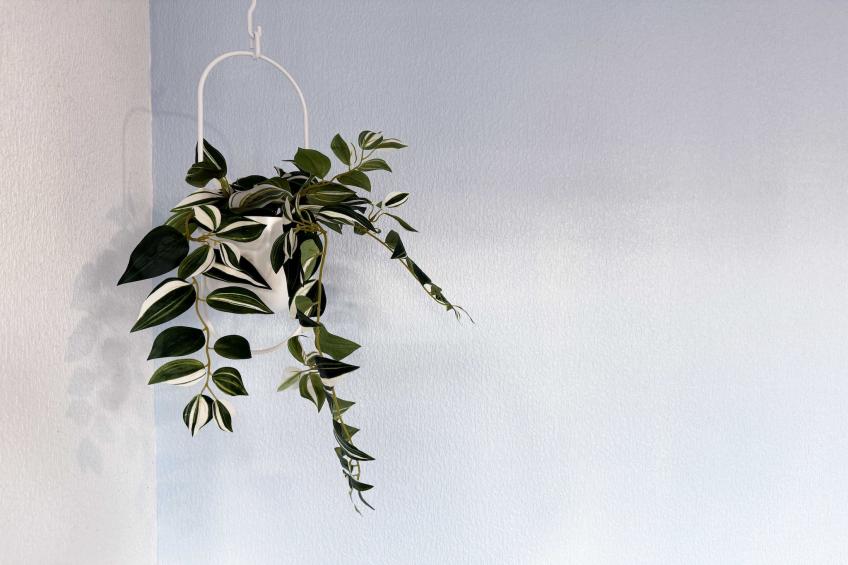 JB-16-AINAY-SYLVESTRE-2 - foto 11