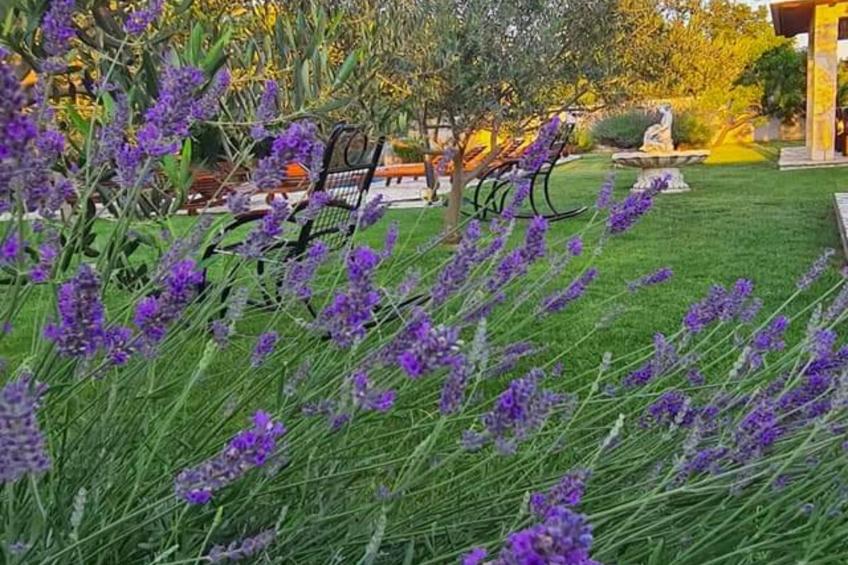 Villa Popovića Dvori -  Six Bedroom Villa with Pool - foto 172