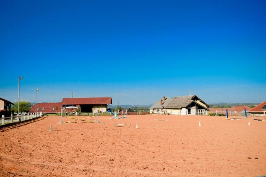 Zevnik Quiet Retreat with Stunning Views and Equestrian Activities - One Bedroom Apartment - foto 29