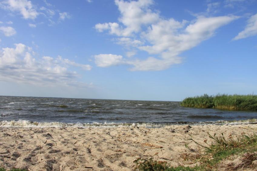 293745 - foto 18