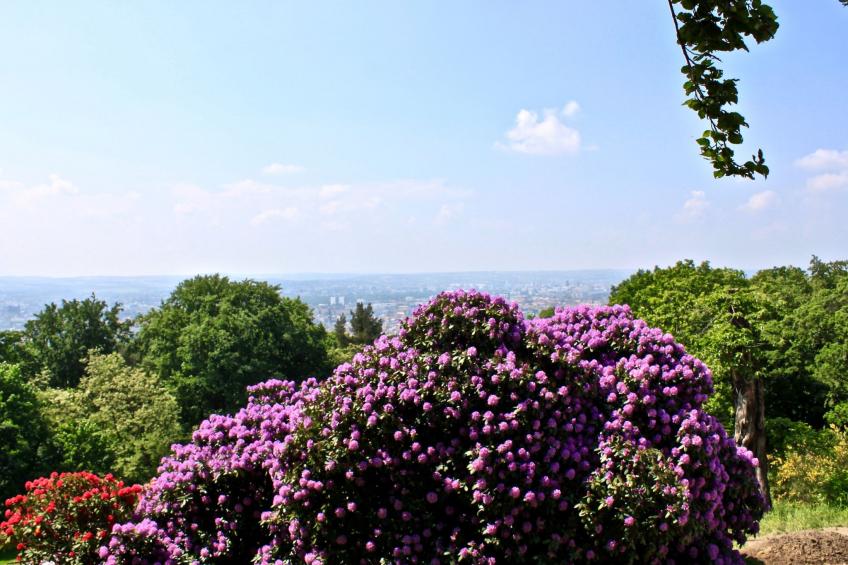 5-Sterne (Deutscher Tourismusverband) - Erholung wie ein König - - foto 22