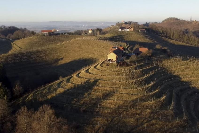 für 8 Personen  + 4 Kinder ca. 200 m² in Ptuj, Untersteiermark (Drau Slowe - foto 36