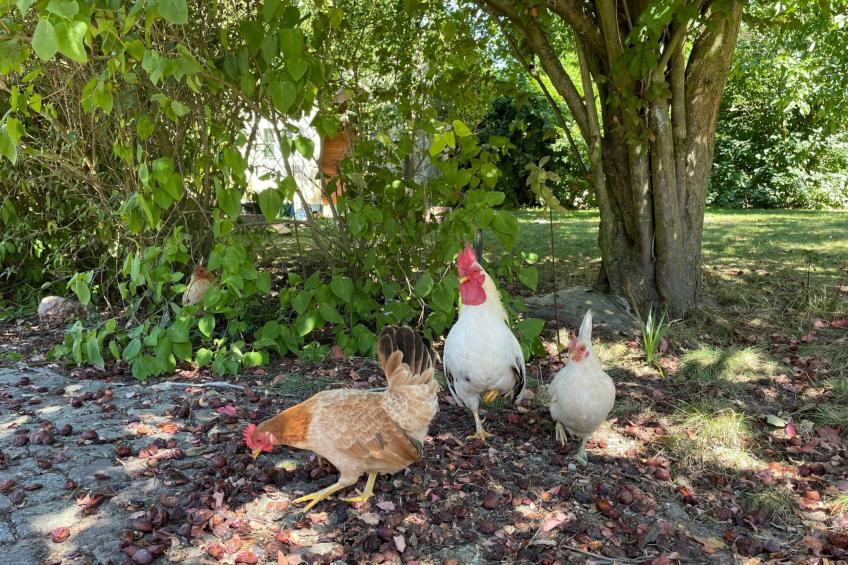 Rittergut Heyda - foto 19