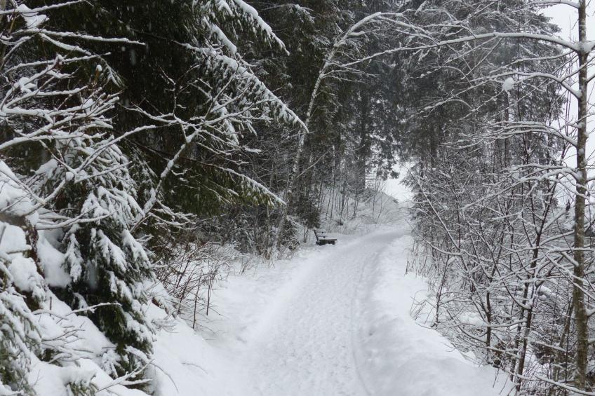 Wohnung in Bad Harzburg mit Garten - foto 30