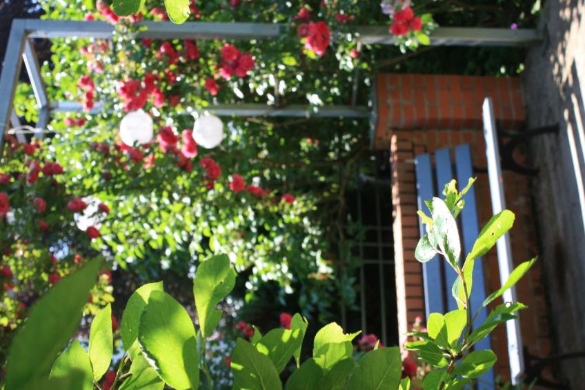 Wohlfühloase für Natur- und Gartenliebhaber - foto 45