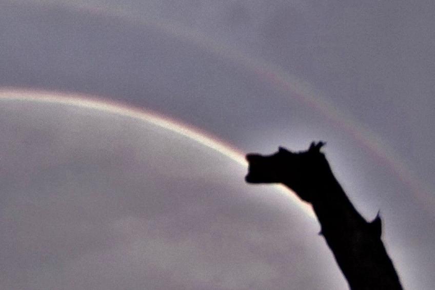 Luxuriöse Duplex-Wohnungen in Cirali - foto 5