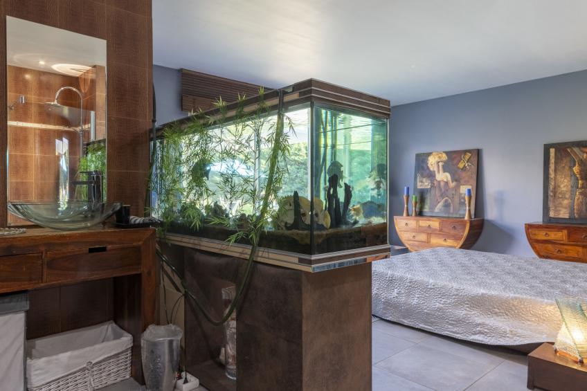 Paradis en Provence - foto 9