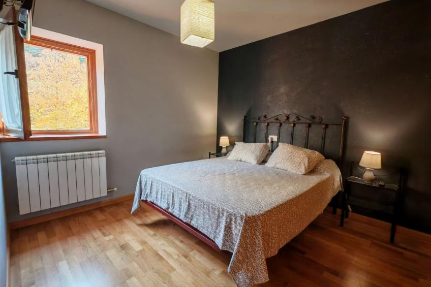 Wohnung Erta 1 8km vom Skigebiet Vall de Boí - foto 2