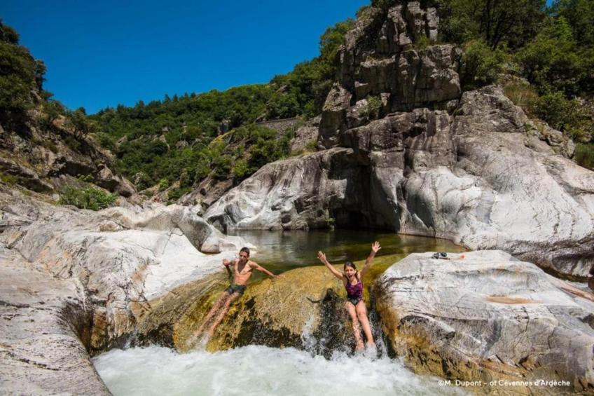 Coccinelles - foto 32