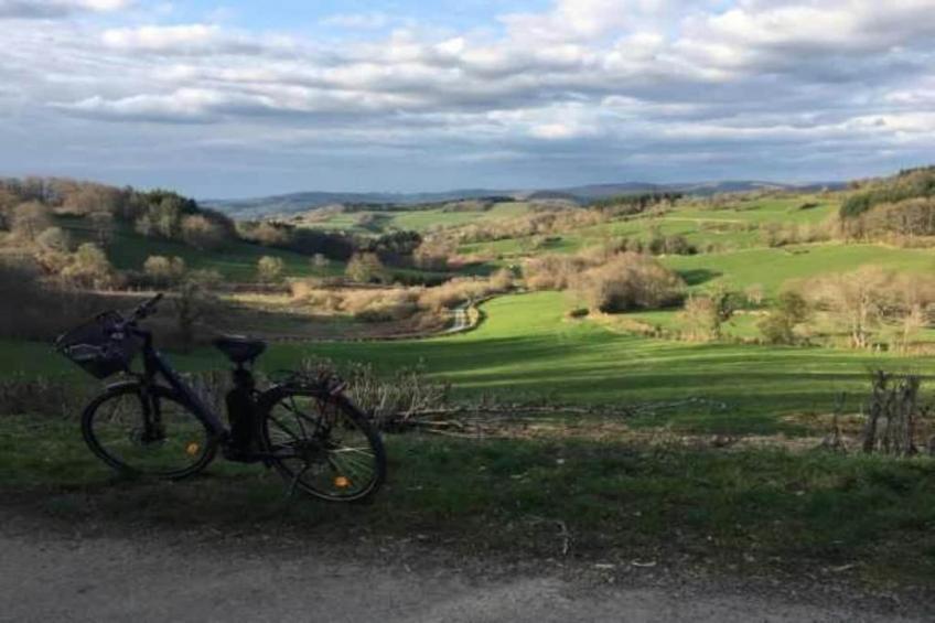 Maison Ferdinand - foto 38