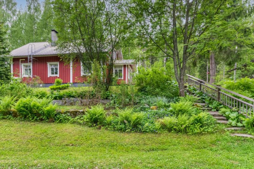 Tervapääsky - foto 23