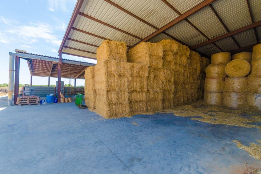 Sa Caseta De Ses Vaques.son Covas - foto 32