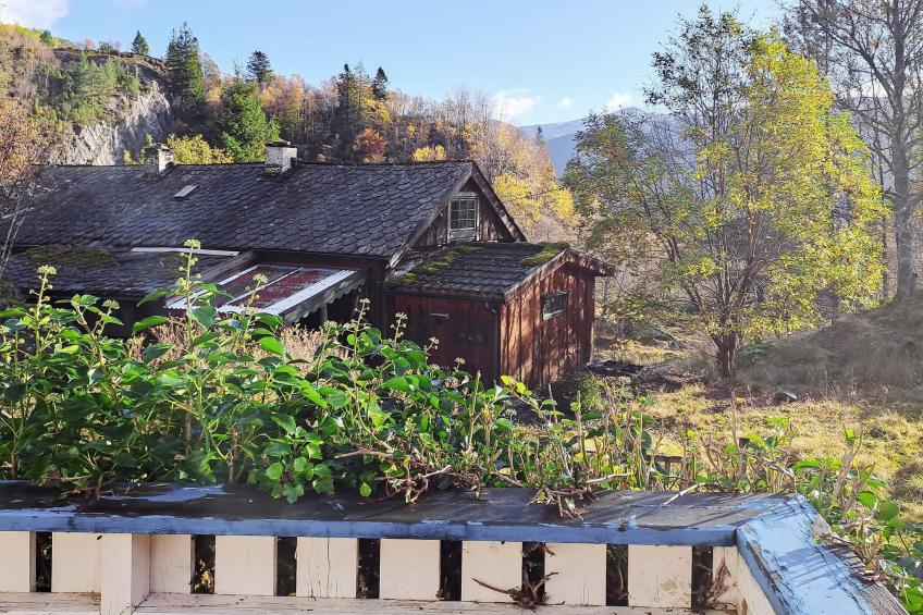 HEIMIGARDEN - foto 6