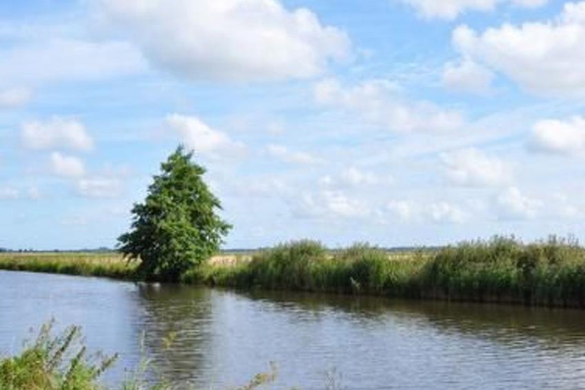 in Volksdorf mit Großer Terrasse - foto 23