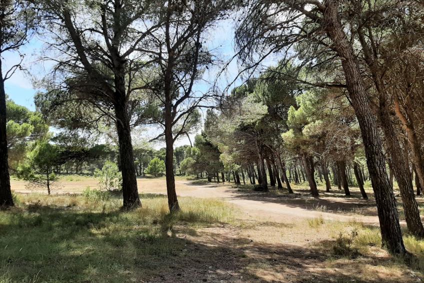 Landwohnung mit Bergblick - foto 42