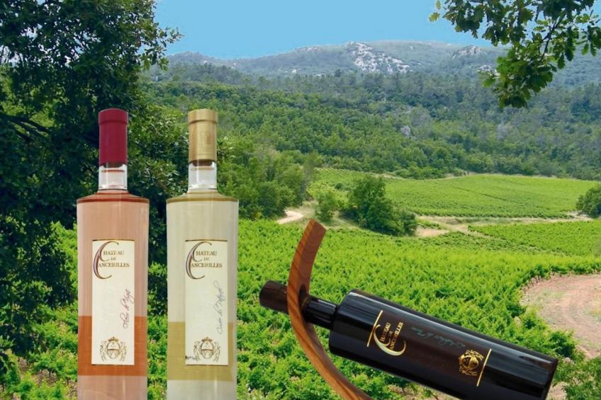 Wohnung in charmantem Haus auf Domäne - foto 13