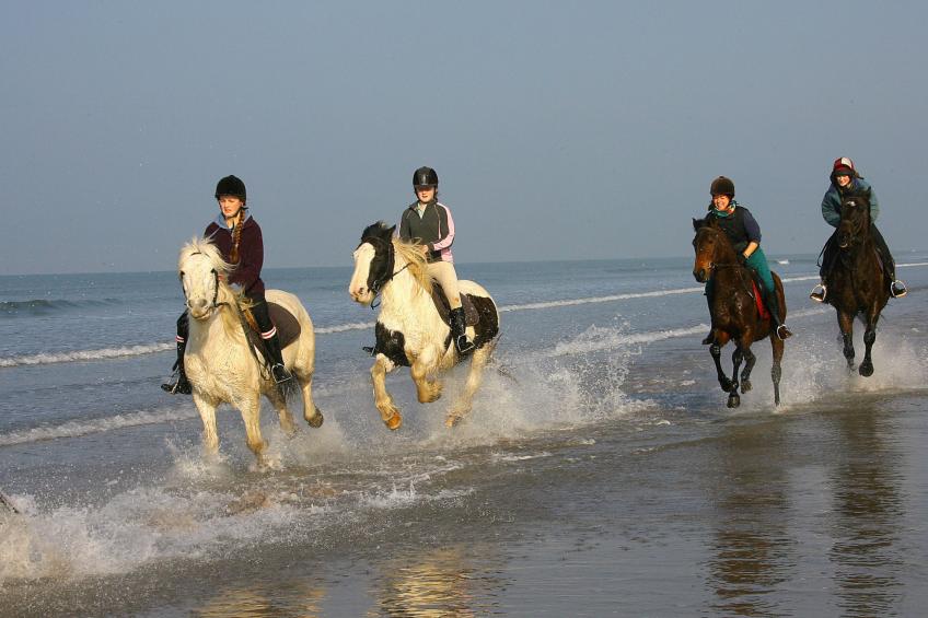 Behy Lodge Glenbeigh - foto 19