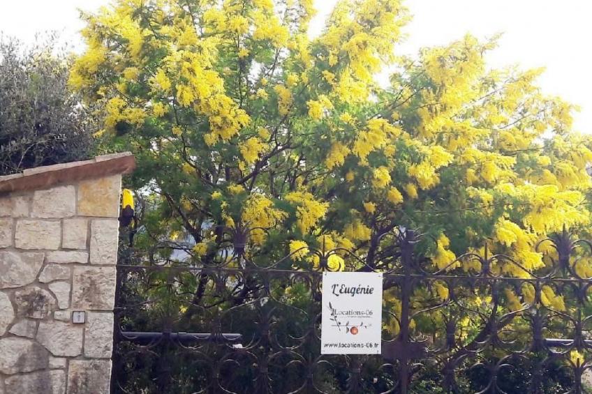 Locations-06 - Die Eugenie - foto 28