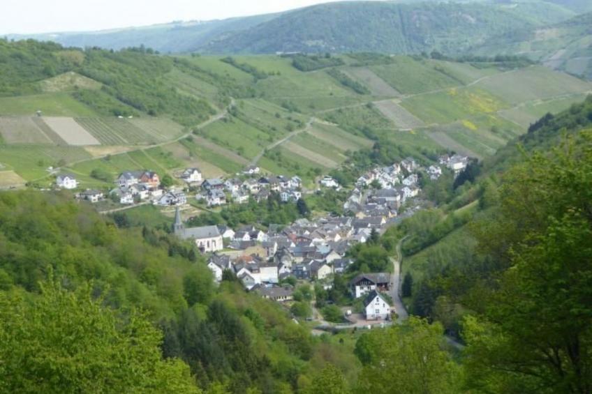 Schäfers Ferienwohnung Oberdiebach am Mittelrhein - foto 24