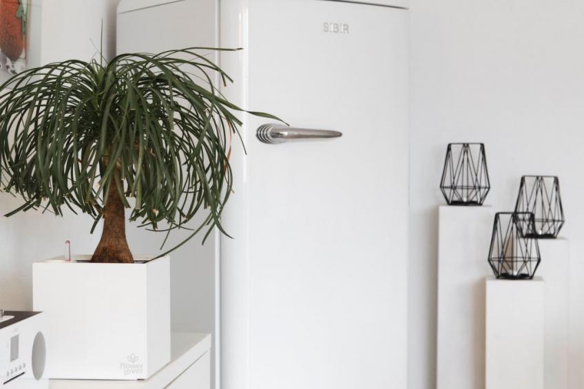 La Promenada - foto 5