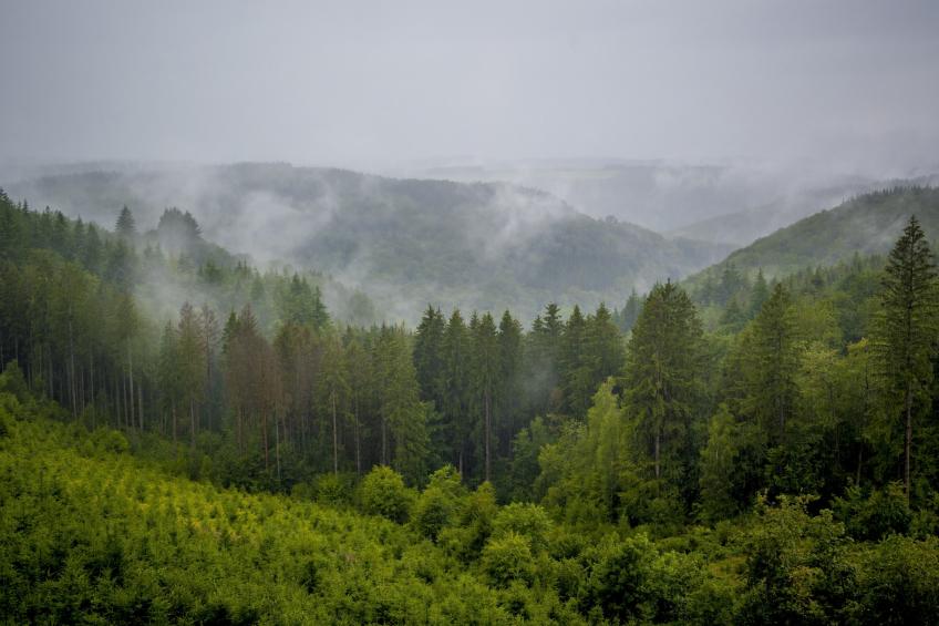 Au Coeur d'Alle - Triple Room with Bathroom - foto 30