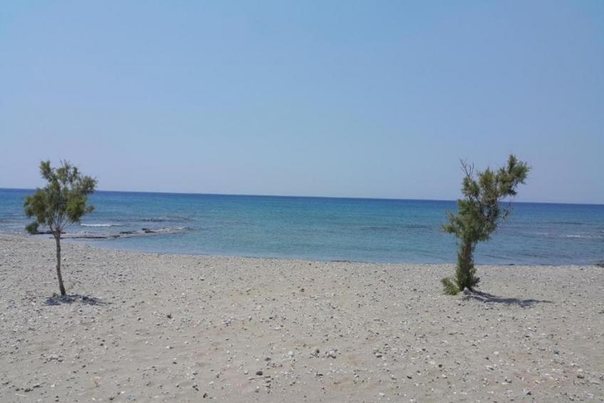 Mary Beach 3 - foto 33