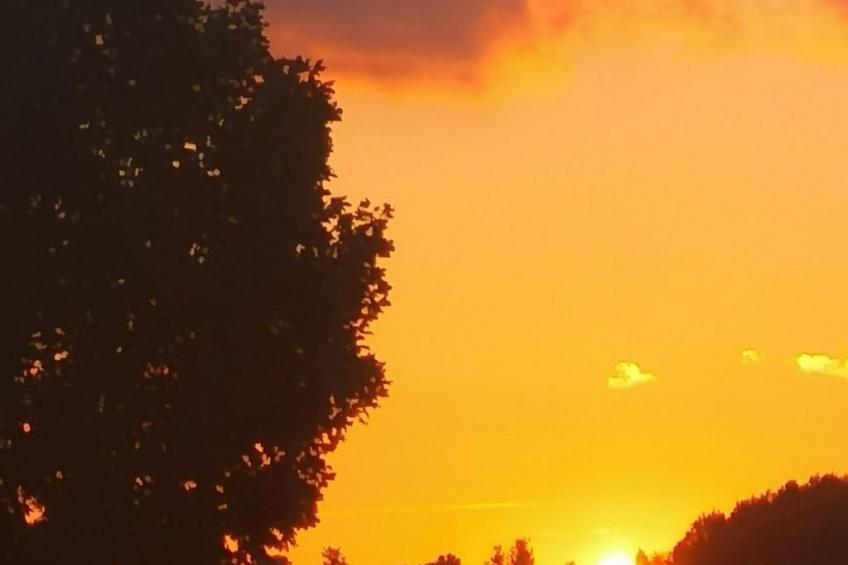 in Mellnitz mit Großem Garten - foto 40