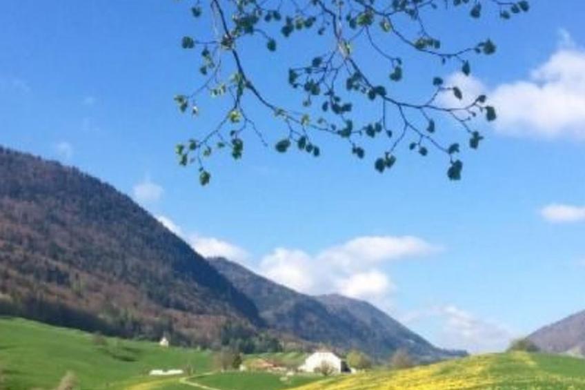 Schafmatthof Dachwohnung - foto 13