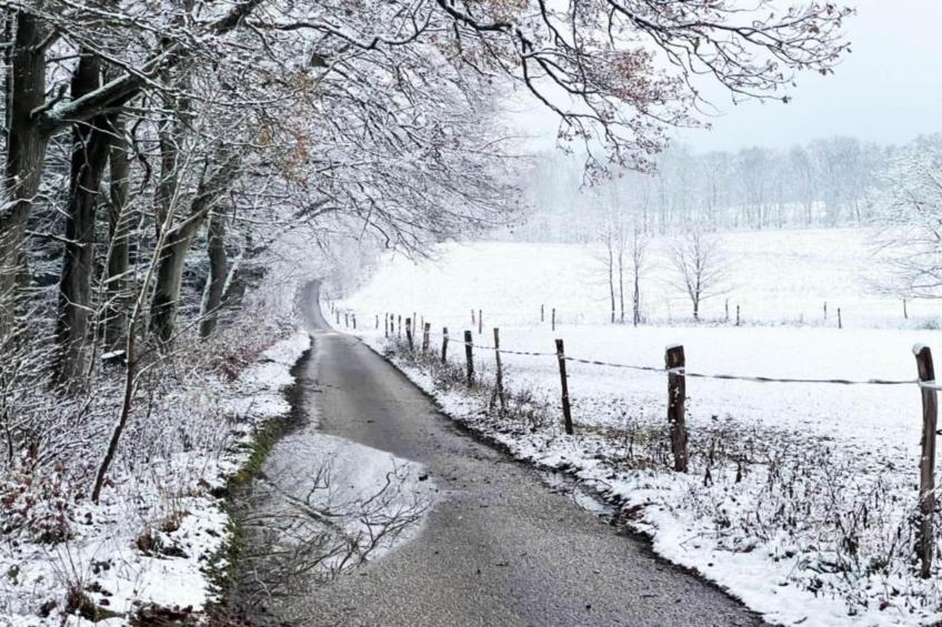 Huis Javornik - foto 25