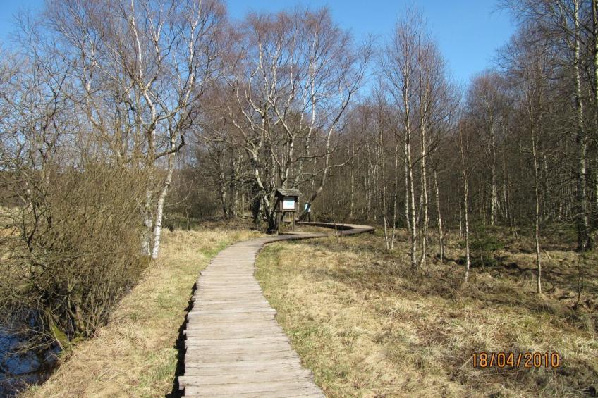Appartement in Hilders mit Eigenem Balkon - foto 17