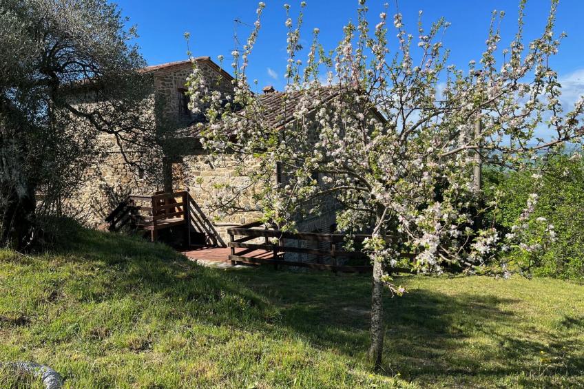 Renovierte Wohnung - foto 33