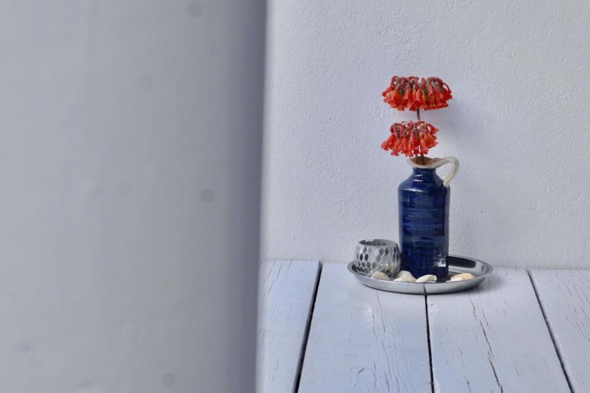 Appartement Casa Hibisco mit schönem Garten - foto 28