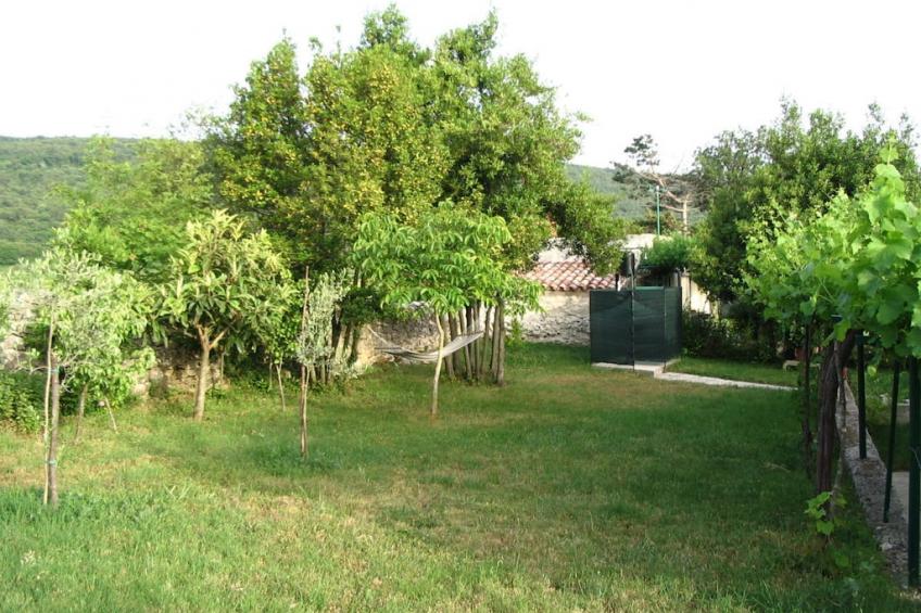 58086 - foto 7