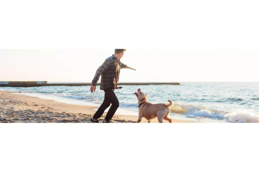 Safari Tenten met Sanitair 4 personen - foto 27