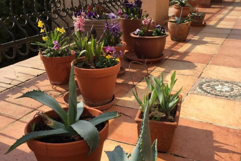 an der Kaschubischen Seenplatte - foto 46